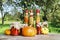 Pumpkins and colorful pickled vegetables in preserving glass