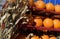 Pumpkins and Corn Husks Fall Decoration Ingredients