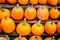 Pumpkins at country farmers market for holidays