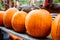 Pumpkins at country farmers market for holidays