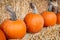 Pumpkins at country farmers market for holidays