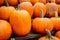 Pumpkins at country farmers market for holidays