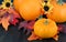 Pumpkins, daisies and fall leaves.