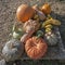 Pumpkins of different shapes and colors