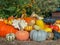 Pumpkins in different shapes and colors on a bale of straw, presented decoratively in autumn