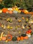 Pumpkins in different shapes and colors on a bale of straw, presented decoratively in autumn