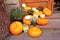 Pumpkins display