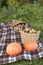 Pumpkins and dy maple leaf on wicker basket. Top view