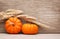 Pumpkins and Ears of Wheat over Wooden Background. Harvest