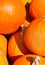 Pumpkins on a Fall day in Groton, Massachusetts, Middlesex County, United States. New England Fall.