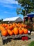 Pumpkins at a farm stand on a Fall day in Littleton, Massachusetts, Middlesex County, United States. New England Fall.
