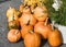 Pumpkins at Farmer Market