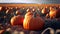 Pumpkins field. Ripe pumpkins harvest time, blue sky background. Generative AI