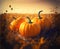 Pumpkins field. Ripe pumpkins harvest time, blue sky background. Generative AI