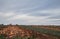 Pumpkins. Field. Sky. Evening. Nature