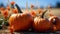 A pumpkins and flowers on bales of hay. Generative AI.