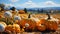 A pumpkins and flowers on bales of hay. Generative AI.