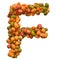 Pumpkins font, letter F from squashes. 3D rendering