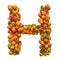 Pumpkins font, letter H from squashes. 3D rendering