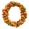 Pumpkins font, letter O from squashes. 3D rendering