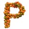Pumpkins font, letter P from squashes. 3D rendering