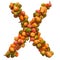 Pumpkins font, letter X from squashes. 3D rendering