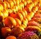 Pumpkins galore