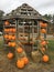 Pumpkins on a gazebo