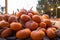 Pumpkins and Gourds