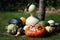 Pumpkins and Gourds