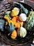 Pumpkins and gourds in dark brown basket