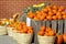 Pumpkins And Gourds For Sale at an outdoor Farmer\'s Market
