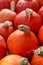 Pumpkins, group of ripe orange pumpkins from organic cultivation, close up, top view.