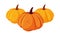 pumpkins happy halloween celebration design