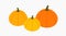 Pumpkins harvest icon