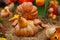 Pumpkins in honor of the celebration of autumn and Halloween. festival of vegetables. funny Turkey made of pumpkins