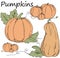 Pumpkins icons