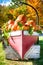 Pumpkins ina Boat