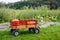 Pumpkins in a Kids Wagon