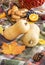 Pumpkins lie on the checkered bedspread. Autumn picnic. Banner. Copy space