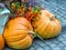 Pumpkins lying on the ground