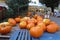 Pumpkins in the Market