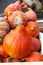 pumpkins, market in Forcalquier, Provence, France