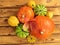 Pumpkins. Multicolored decorative pumpkins over wooden background