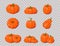 Pumpkins. Orange vegetable pumpkins. Isolated on transparent background