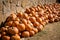 Pumpkins piled