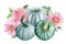 Pumpkins and pink dahlias flowers on a white isolated background, watercolor drawings. Greeting card,Happy Thanksgiving