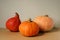 Pumpkins poster. Three different edible gourd. Horizontal card, banner of seasonal sale, eco product, copy space. Halloween,