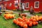 Pumpkins at a roadside vendor