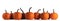 Pumpkins in a row on white background